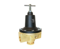 11-009-065, Water Regulator