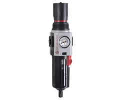 B84G-3AT-AD3-RMG, Excelon Plus filter/regulator, 3/8" NPT, 40 µm, 0.3-10 bar, automatic drain, with gauge