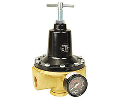 11-009-073, Water Regulator