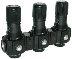 R74M-4AK-RMN, Excelon general purpose manifold pressure regulator, 1/2 PTF, 0.3-10 bar, without gauge