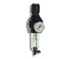 B73G-4AK-QT1-RMG, Excelon filter/regulator, 1/2 PTF, 5µm, 0.3-10 bar, manual drain, with gauge