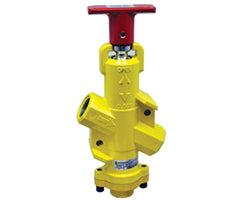 CR021C1M2, Inline Lockout Valve and Silencer