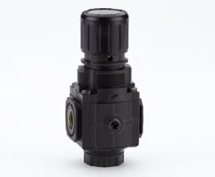 R72G-2AK-RCN, Excelon general purpose pressure regulator, 1/4 PTF, 0,3-2 bar, without gauge