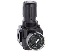 R73G-4AK-RFG, Excelon general purpose pressure regulator, 1/2 PTF, 0.3-4 bar, with gauge