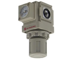 R49G-2GK-RMG, 49 Series Pressure Regulator, G1/4, with gauge